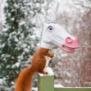 Archie Mcphee Unicorn Head Squirrel Feeder